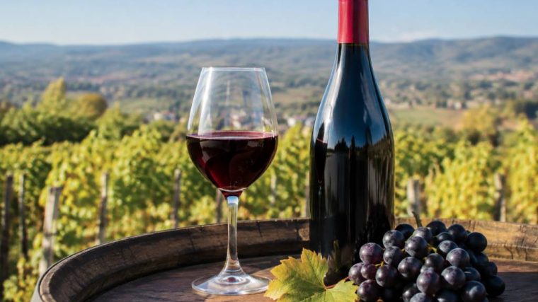 Le beaujolais nouveau, une tradition lyonnaise à redécouvrir