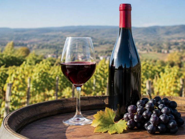 Le beaujolais nouveau, une tradition lyonnaise à redécouvrir