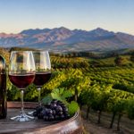 Vinification : le champagne rosé, de la méthode aux arômes